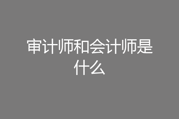 审计师和会计师是什么