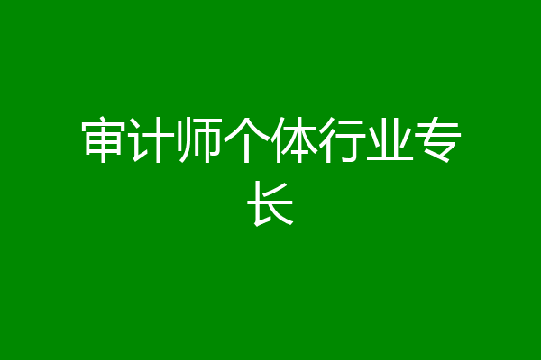 审计师个体行业专长