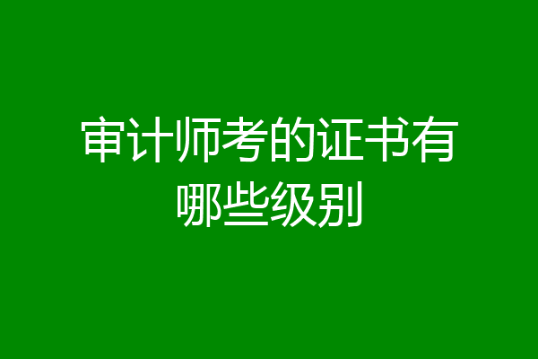 审计师考的证书有哪些级别