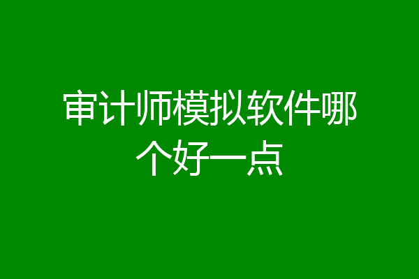 审计师模拟软件哪个好一点