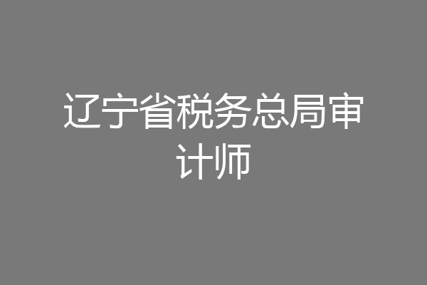辽宁省税务总局审计师