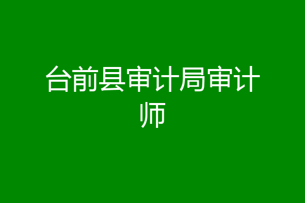 台前县审计局审计师