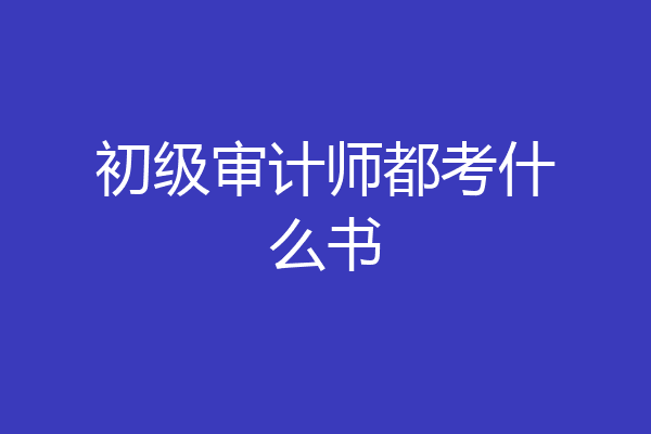 初级审计师都考什么书
