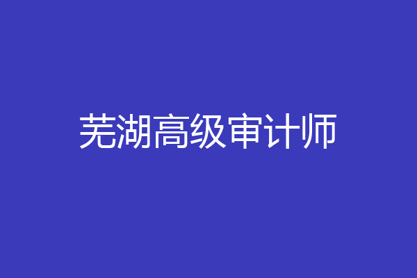 芜湖高级审计师