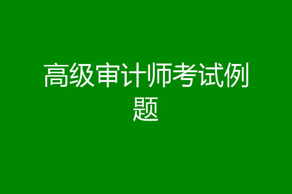 高级审计师考试例题