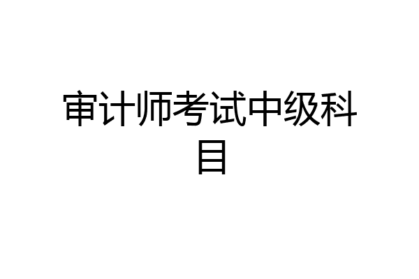 审计师考试中级科目