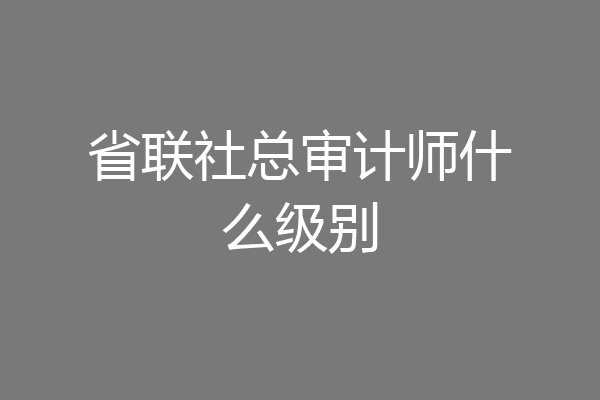 省联社总审计师什么级别
