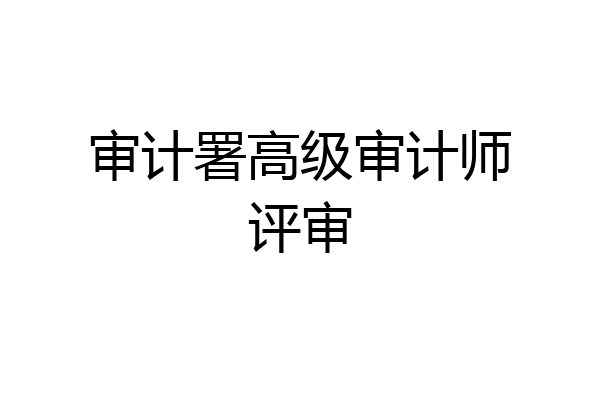 审计署高级审计师评审