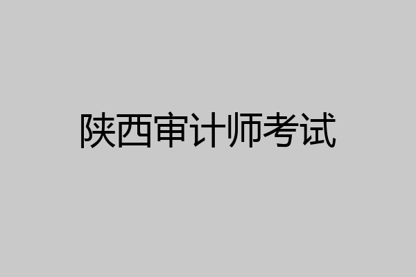 陕西审计师考试