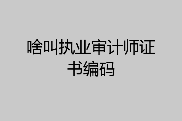 啥叫执业审计师证书编码