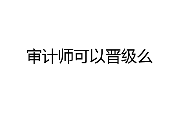 审计师可以晋级么