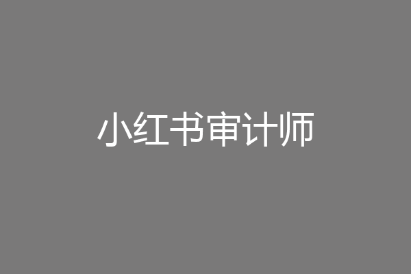 小红书审计师