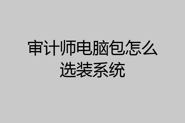 审计师电脑包怎么选装系统