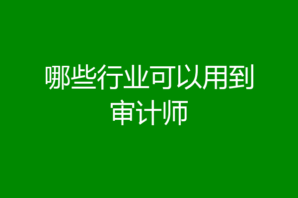 哪些行业可以用到审计师