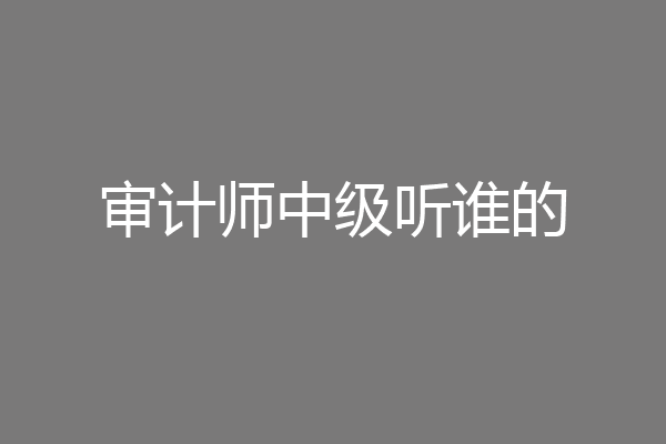 审计师中级听谁的