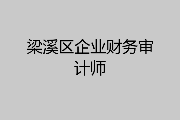 梁溪区企业财务审计师