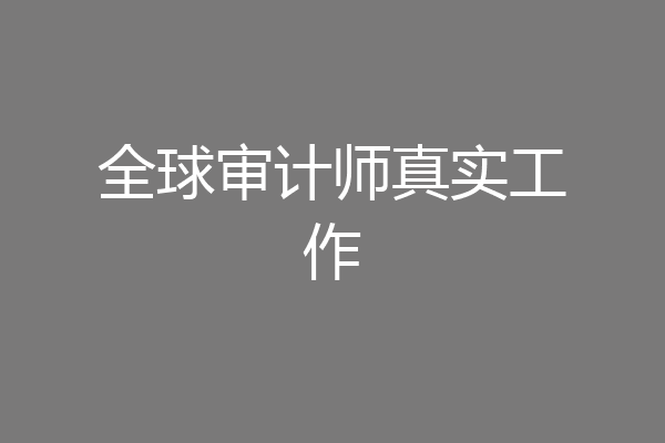 全球审计师真实工作