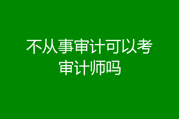 不从事审计可以考审计师吗
