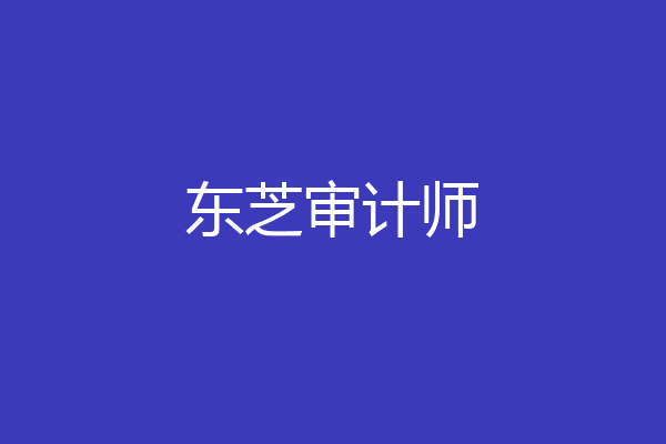 东芝审计师