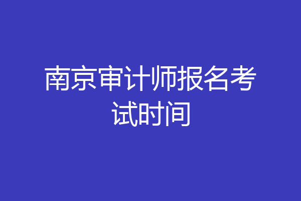 南京审计师报名考试时间