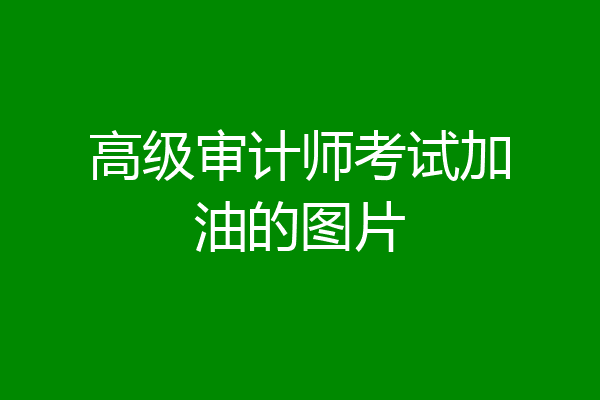 高级审计师考试加油的图片