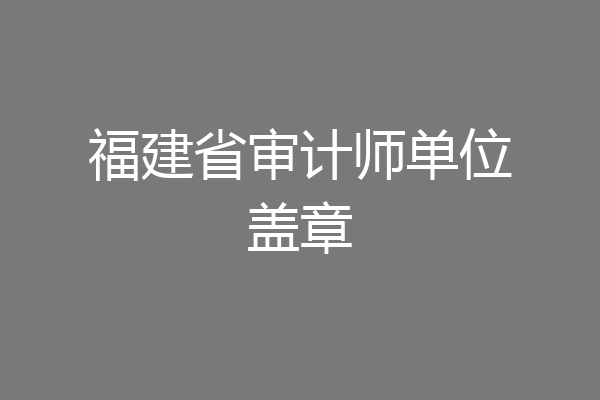 福建省审计师单位盖章