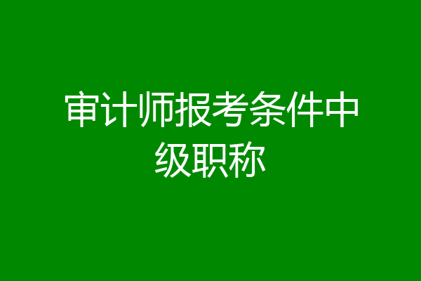 审计师报考条件中级职称