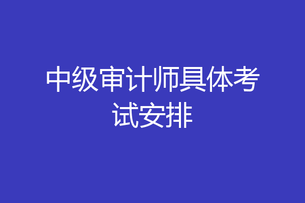 中级审计师具体考试安排