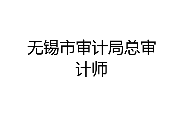 无锡市审计局总审计师