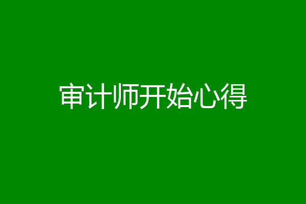 审计师开始心得