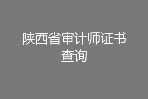 陕西省审计师证书查询