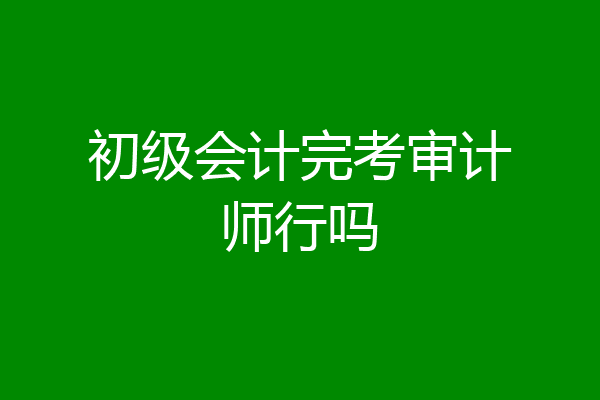 初级会计完考审计师行吗