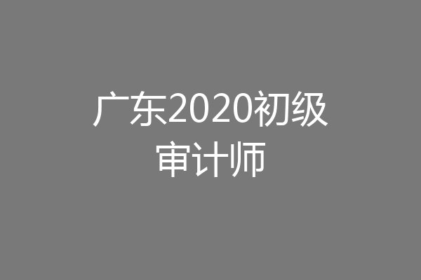 广东2020初级审计师