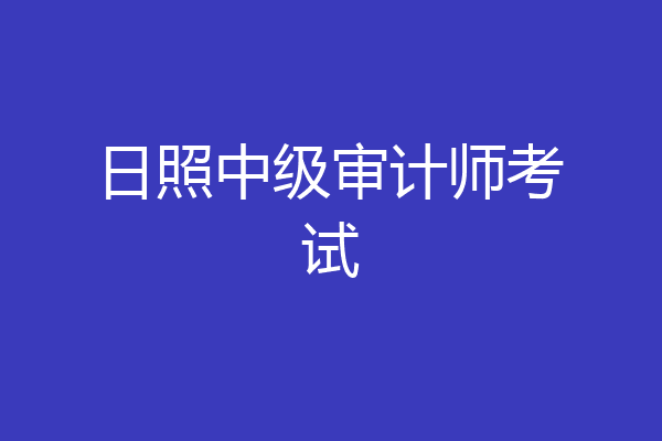 日照中级审计师考试