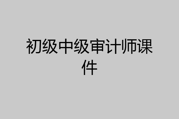 初级中级审计师课件
