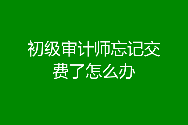 初级审计师忘记交费了怎么办