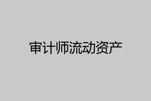 审计师流动资产