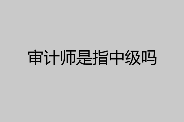 审计师是指中级吗