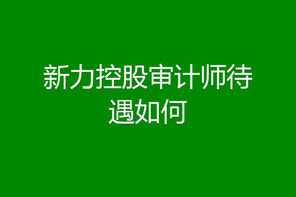 新力控股审计师待遇如何