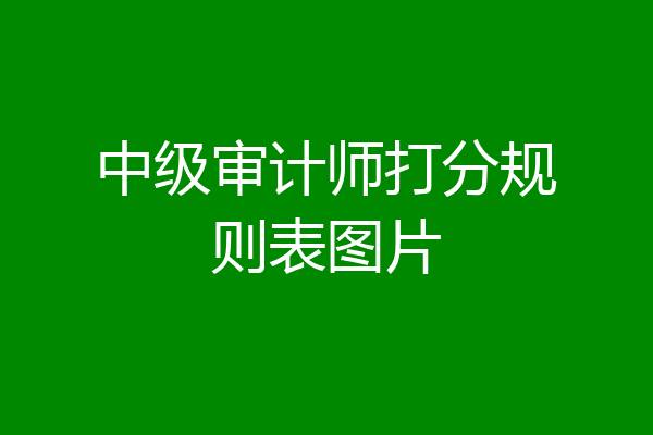 中级审计师打分规则表图片