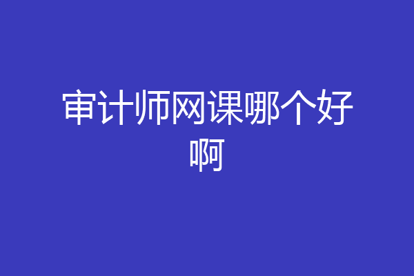 审计师网课哪个好啊