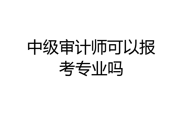 中级审计师可以报考专业吗