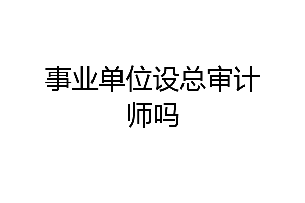事业单位设总审计师吗
