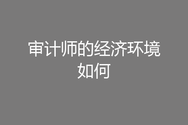 审计师的经济环境如何