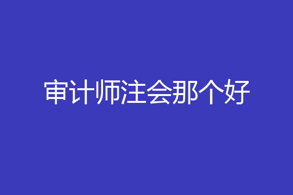 审计师注会那个好