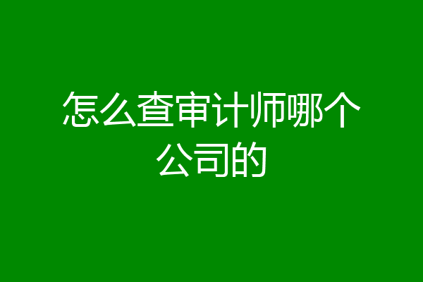 怎么查审计师哪个公司的