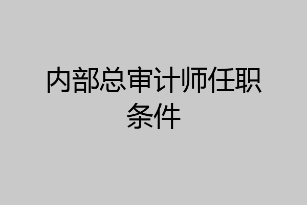 内部总审计师任职条件