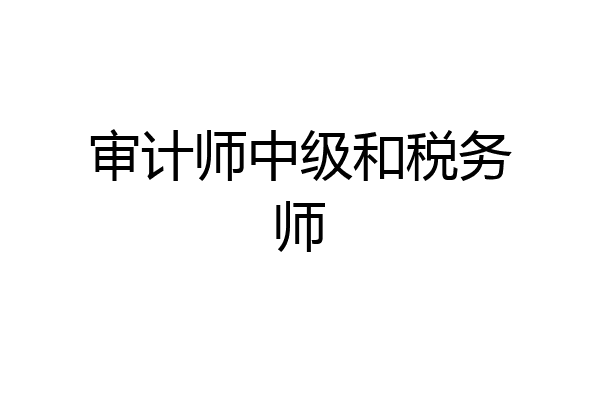 审计师中级和税务师