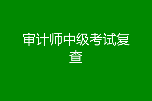 审计师中级考试复查