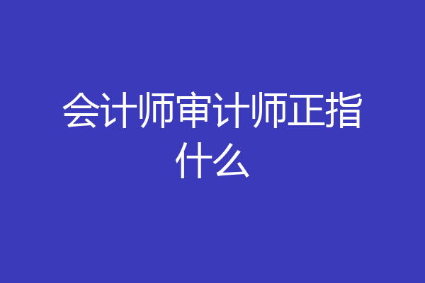 会计师审计师正指什么